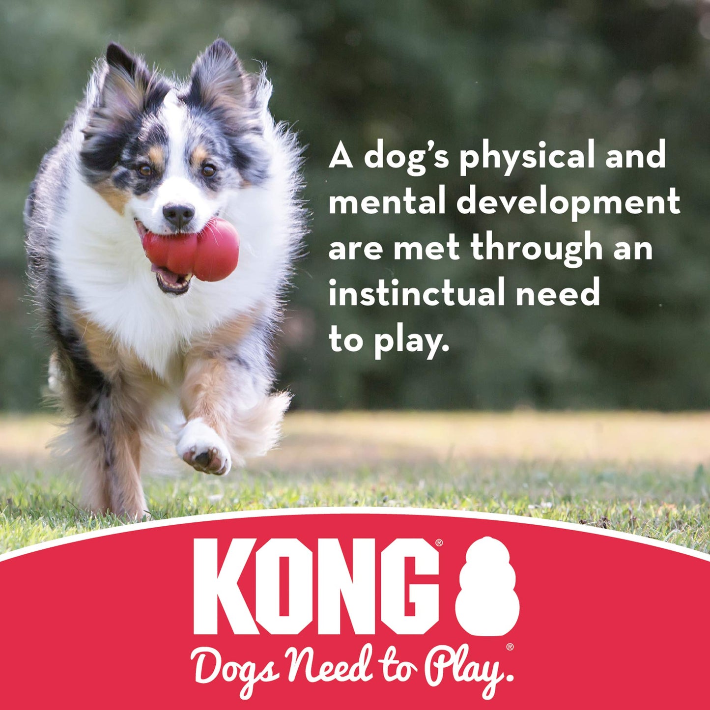 KONG - Flyer - Durable Rubber Outdoor Flying Disc Dog Toy