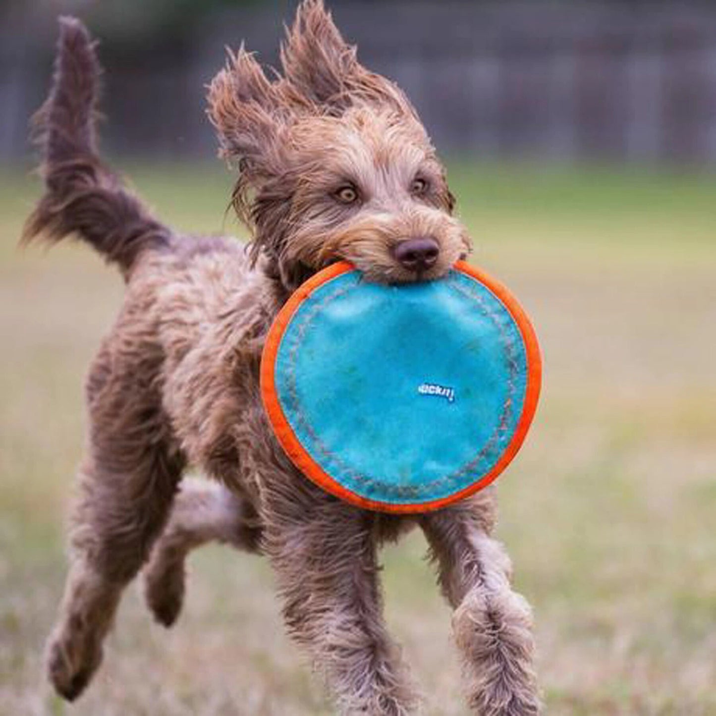 Chuckit! Paraflight Flyer Floating Interactive Training Dog Toy - Great for games of fetch