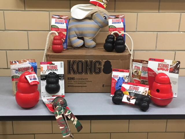 KONG BOX For Puppy -Fit (2-9kg)