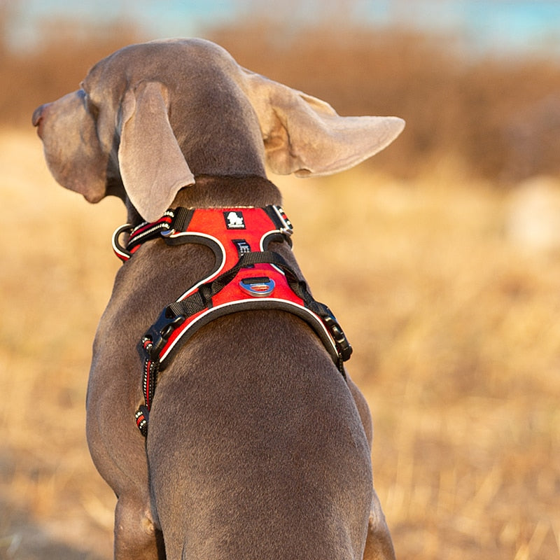 Truelove No Pull Adjustable Reflective Nylon Dog Harness (Red) - Medium to Large Dogs - Upgraded version TLH56512