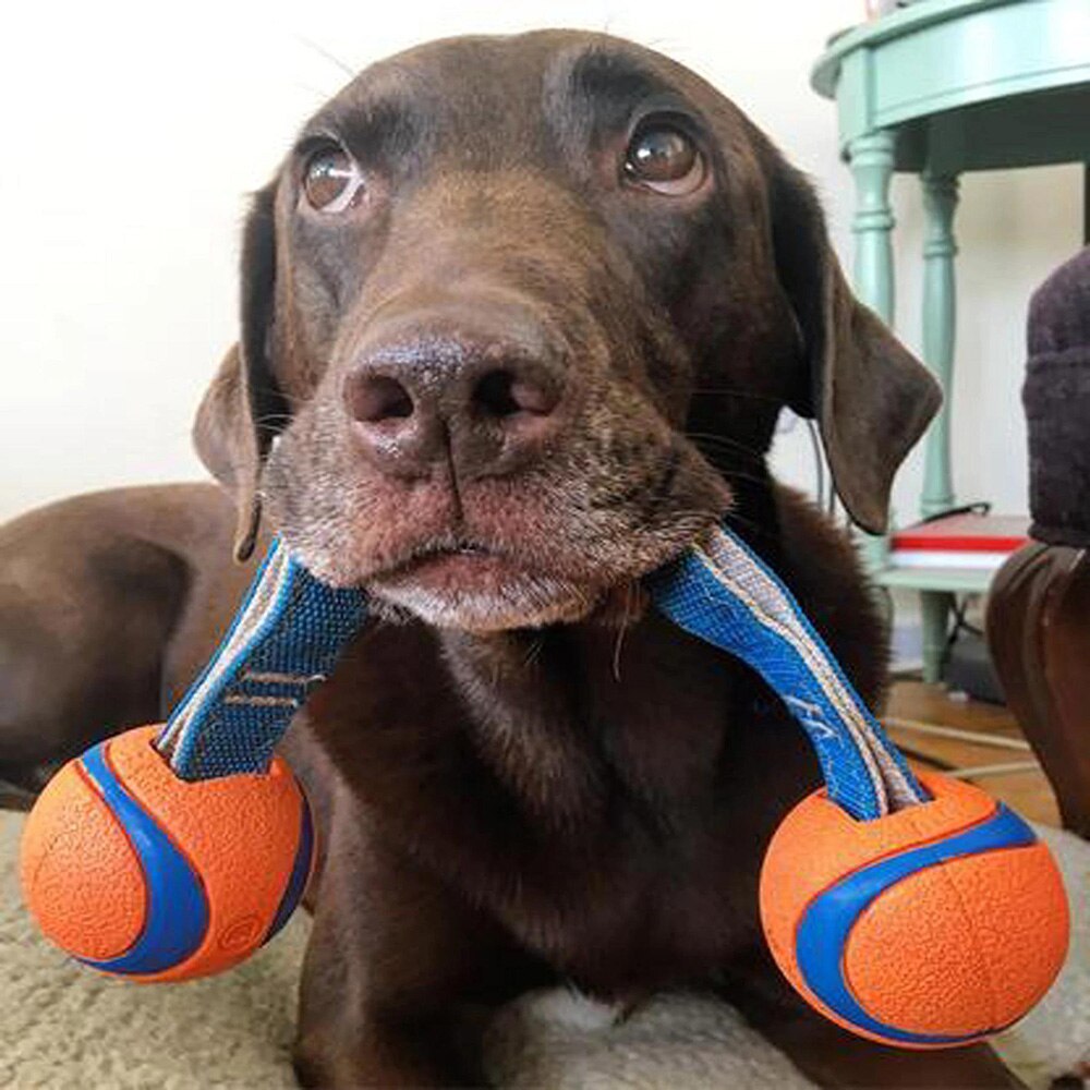 Chuckit! Interactive Dog Ultra Duo Floating Tug Ball