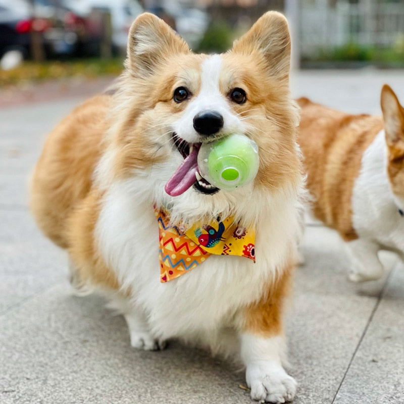 CAITEC Dog Toy Amazing Squeaker Durable Interactive Ball - Multiple options