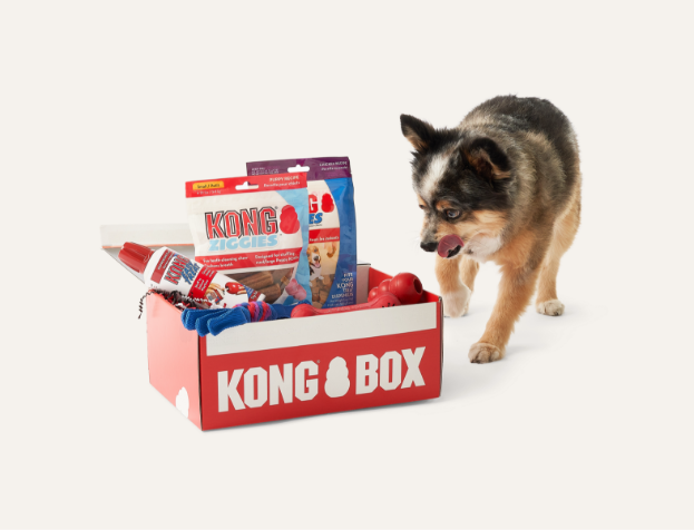 KONG BOX For Puppy -Fit (2-9kg)