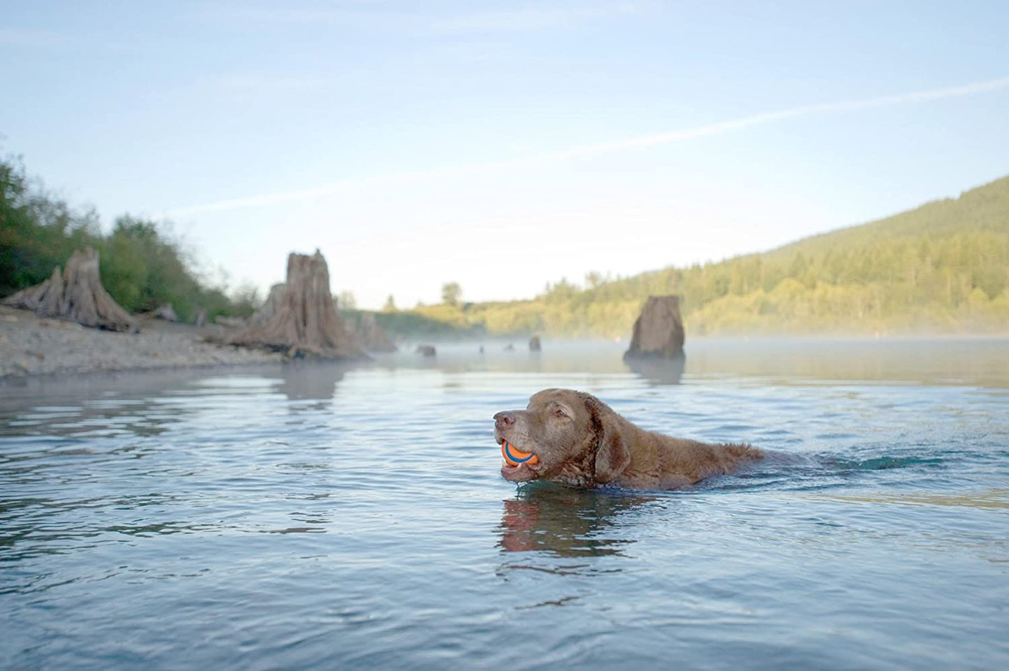 Chuckit! Outdoor Rubber Floating Retrieval Dog ball