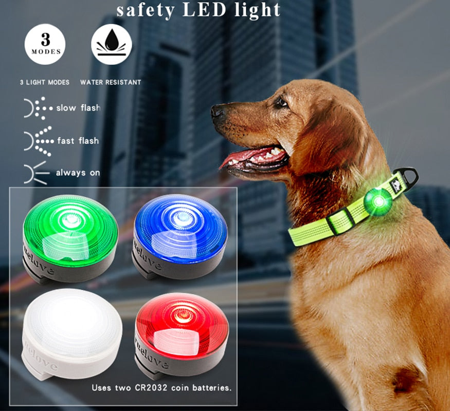 Truelove Safety LED Light for Dog Collar or Harness with Water Resistant and Long Continuous Battery Life TLD19101