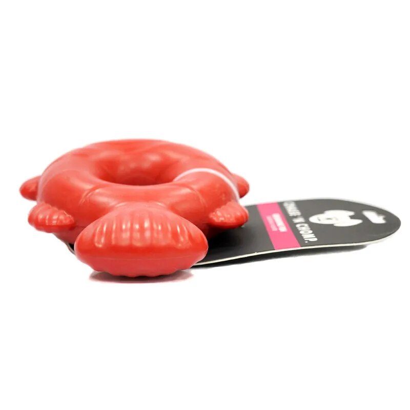 CAITEC Chase 'N Chomp Squeaking Fish - Durable Springy and Floatable - Great for Tossing and Chasing