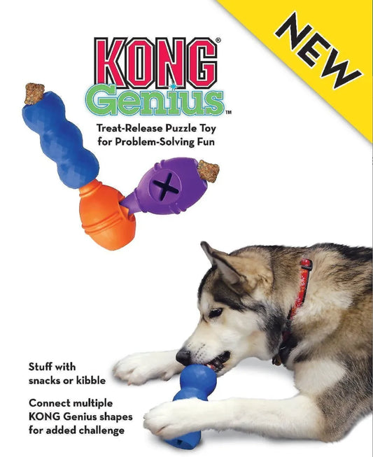 KONG Genius Leo Dog Toy - Various Colours available - Size Small