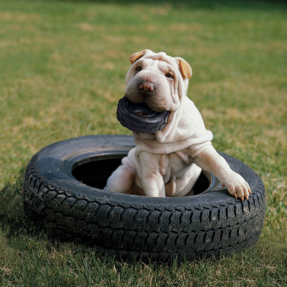 KONG Tires Dog Toy - Size Small (0-16kg)