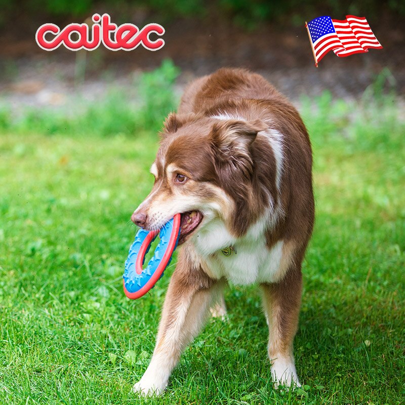 CAITEC Outer Armor Squeaky Flying Ring for Outdoor Throwing - Suitable for Medium to Large Dogs