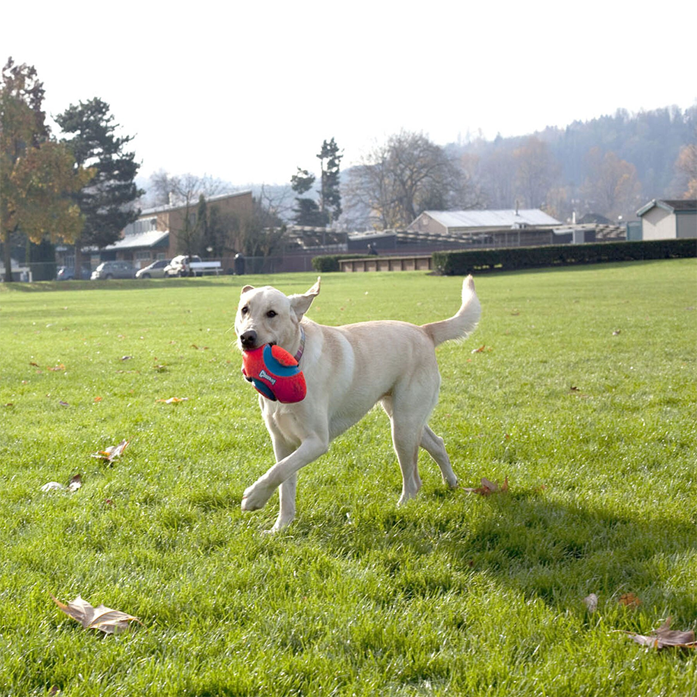 Chuckit! Fumble Fetch Outdoor Floating Dog Rugby Ball