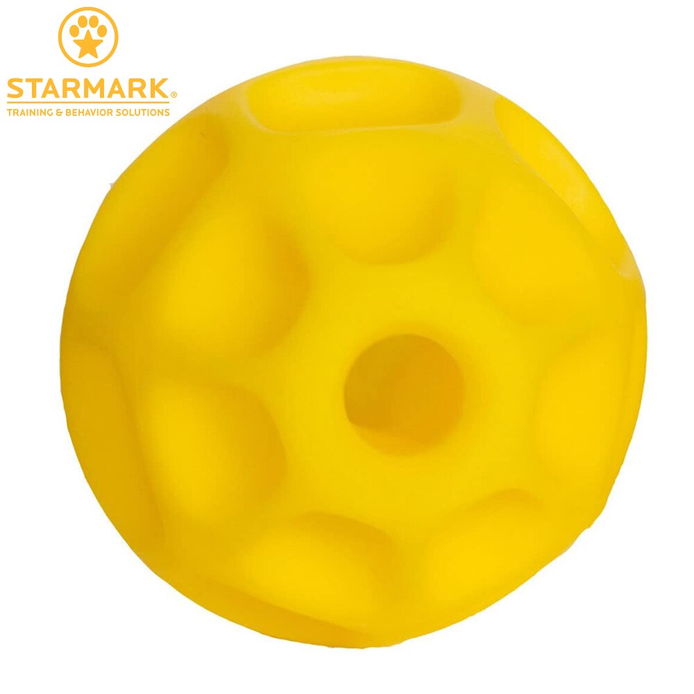 Starmark Treat Dispensing Tetraflex Dog Toy Training