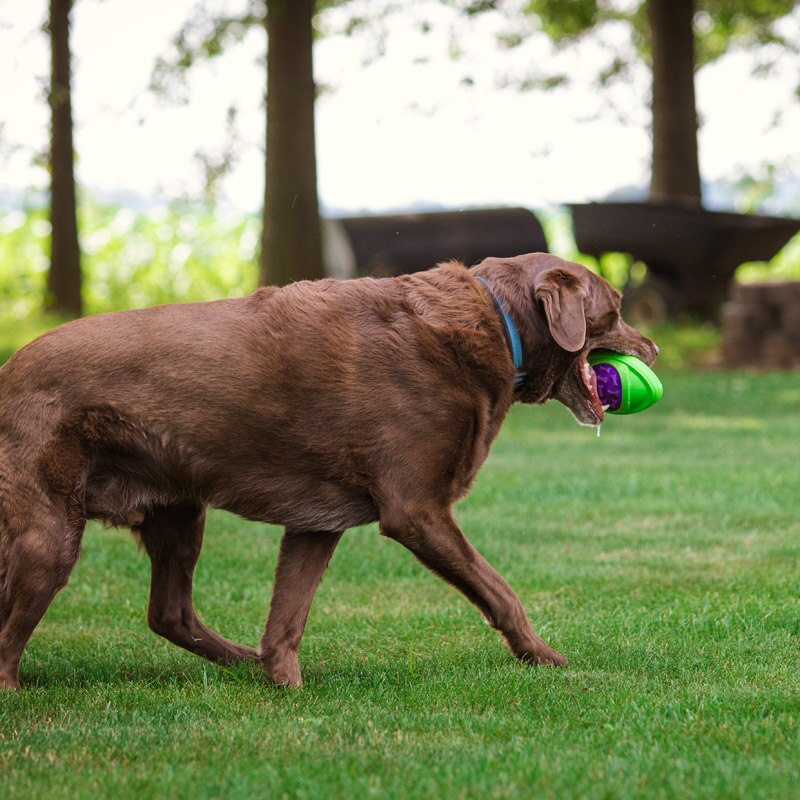 CAITEC Dog Toy Football - Floating & Squeaky for Outdoor Throwing - Suitable for Medium to Large Dogs