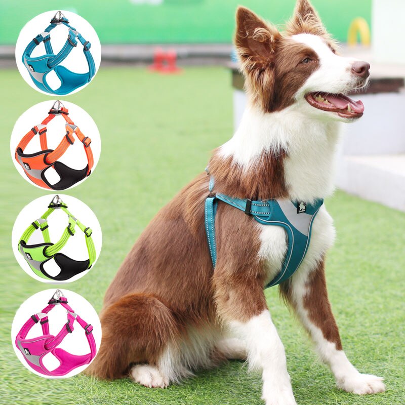 Truelove Adjustable Easy on Dog Harness - Outdoor Adventure Reflective Dog Protective Nylon Walking Dog Harness