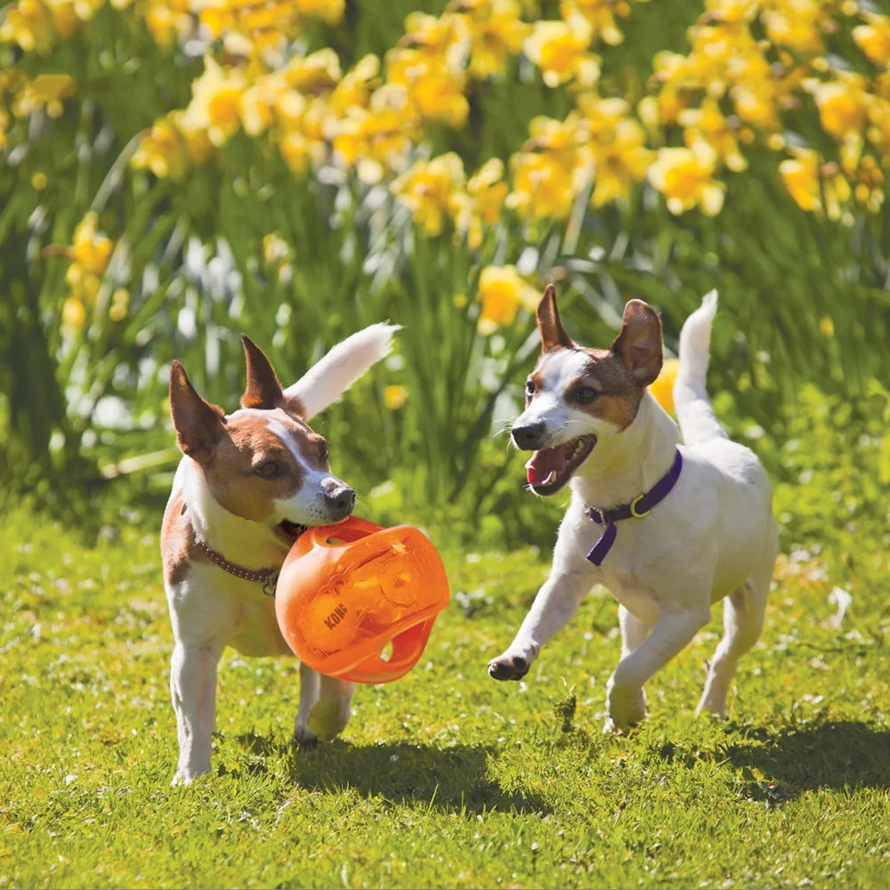 KONG Jumbler Rugby Ball/Football Dog Toy, Various Colours - M/L Size