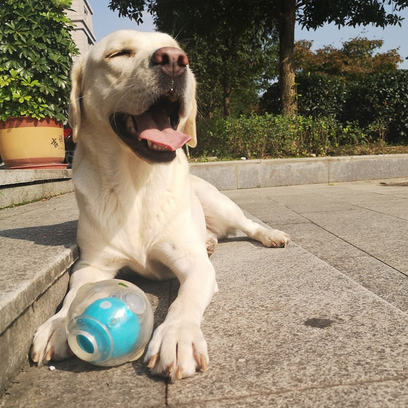 CAITEC Dog Toy Amazing Squeaker Durable Interactive Ball - Multiple options