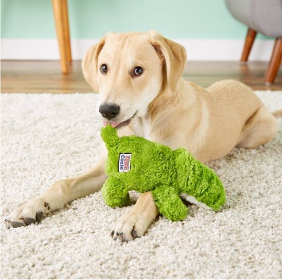 KONG Snuglle Cozie Ali the Alligator & Funny Monkey Dog Toy