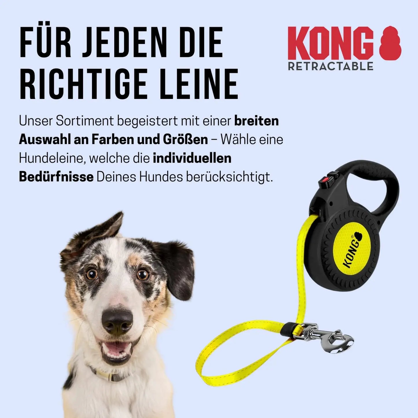 Kong Alcott Retractable Reflective Dog lead - 16ft Long belt