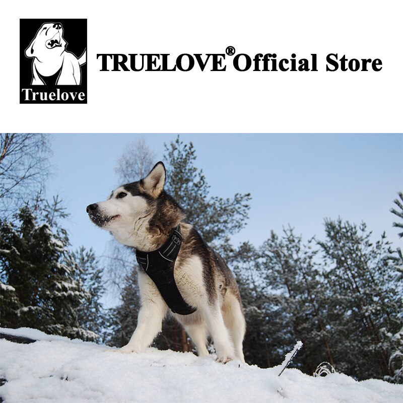 Truelove No Pull Dog Harness (Grey) - Adjustable Soft Padded Reflective No Choke Dog Vest with Easy Control Handle H5651