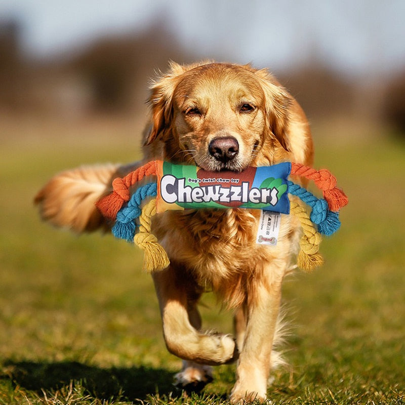 Chewzzlers Interactive Bite Resistant Rope Toy