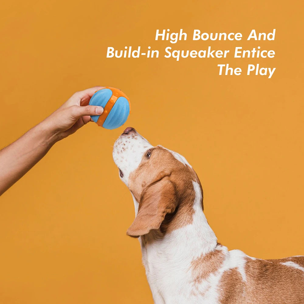 All For Paws X-Bounce Ball Floating Chew toy with squeaker