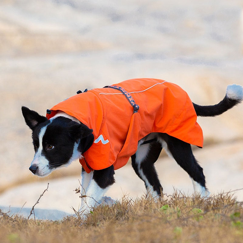 TRUELOVE Dog Waterproof Windbreaker Detachable Raincoat YG1872