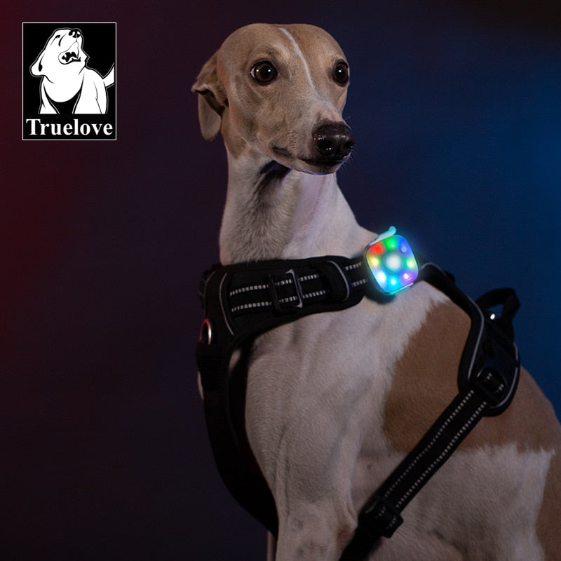 Truelove Safety LED Light for Dog Collar or Harness - Water Resistant, Wireless Charging and Long Continuous Battery Life TLD19102