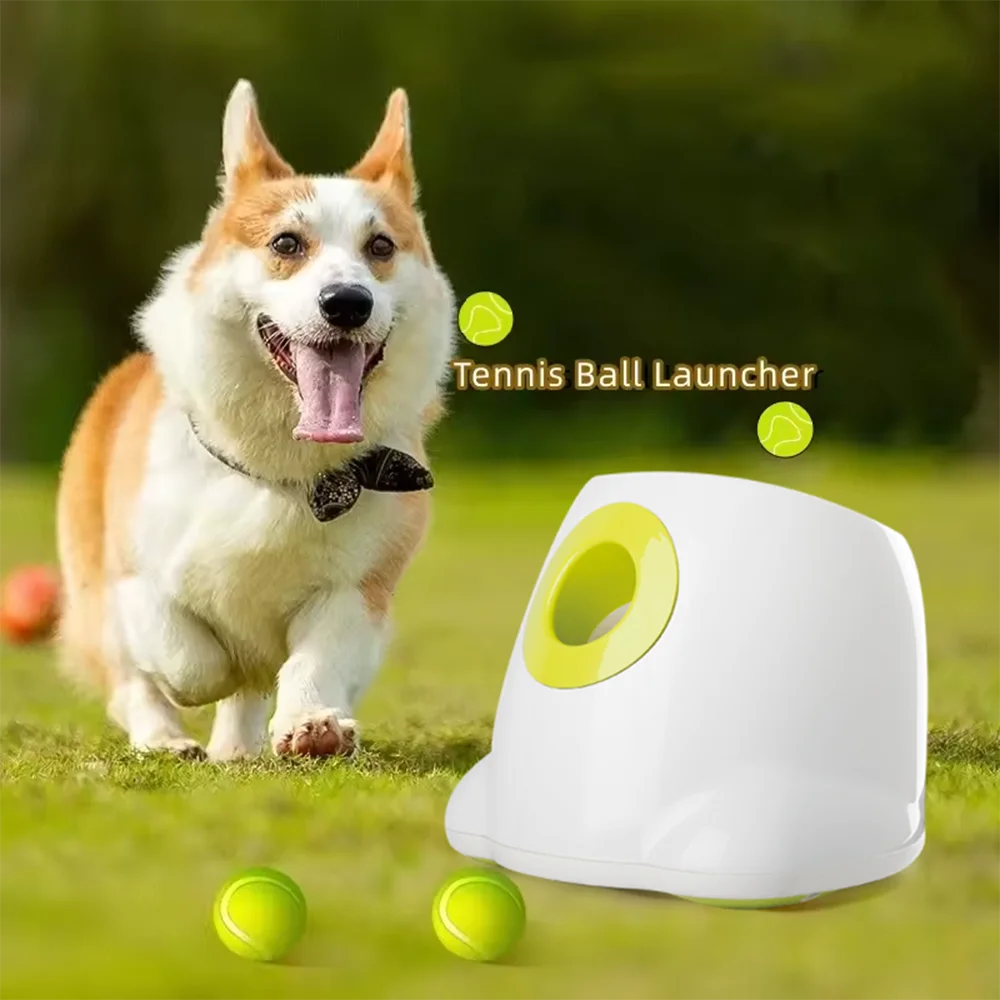 All For Paws Interactive Automatic Electric Ball Launcher with 3 Tennis Balls