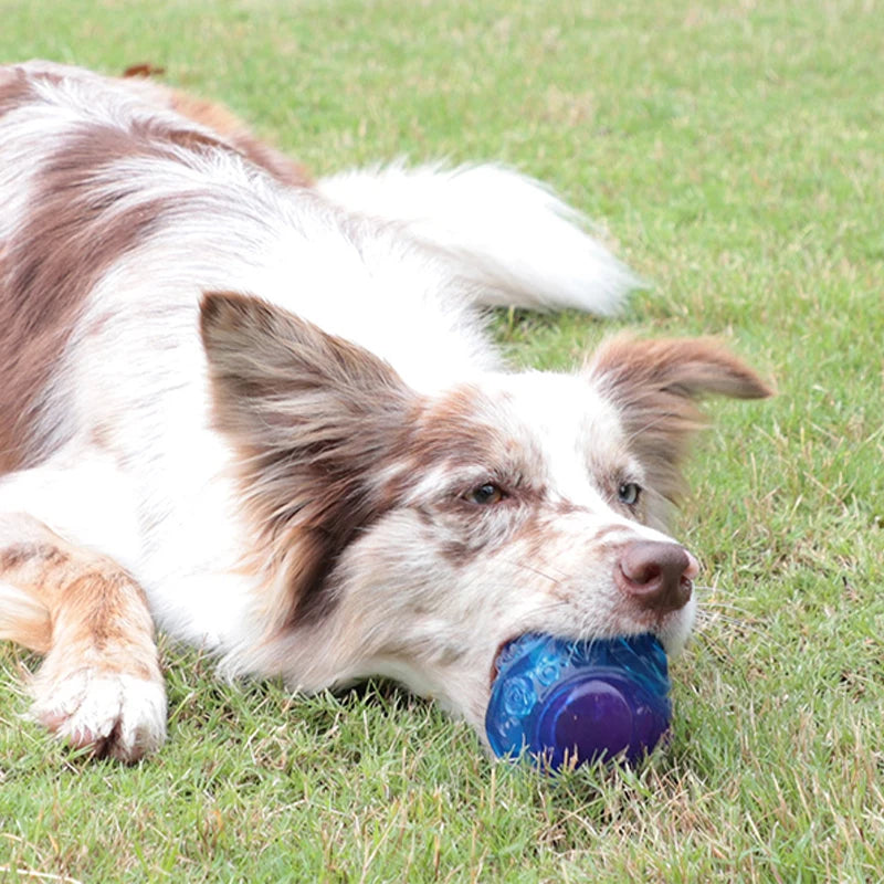 GiGwi G-ball Series Squirrel Ball Series Toys - Pure Natural Rubber - Outdoor Play for Small to Large Dogs