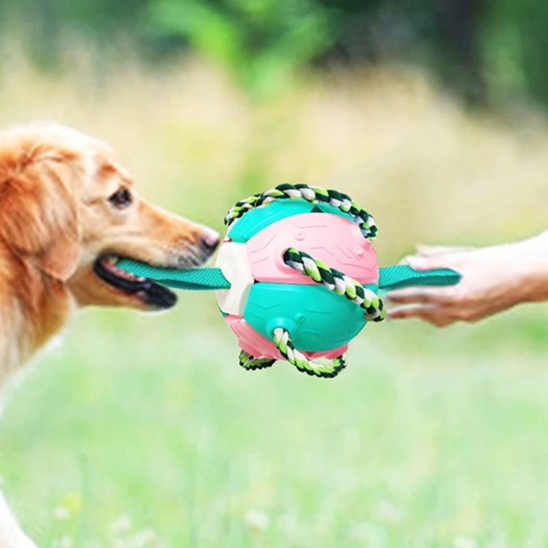 Interactive Dog Football Ball With Tabs & Ropes for Training Outdoors