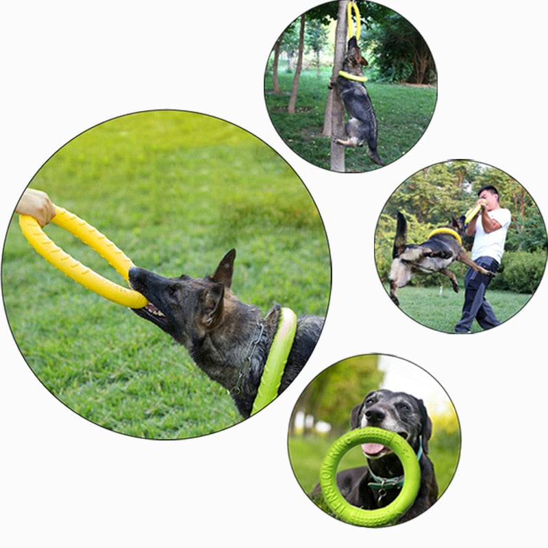 Floating Flying Ring for Interactive Training and Tug-O-War for Aggressive Chewing for Small Medium Dogs