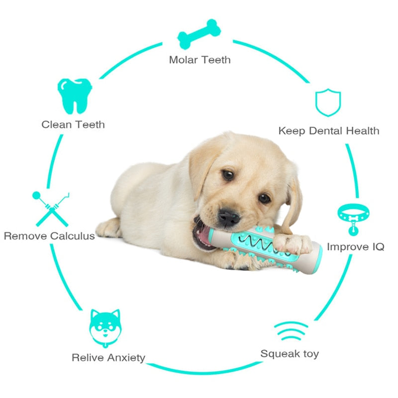 Teeth Cleaning Rubber Dog Toys