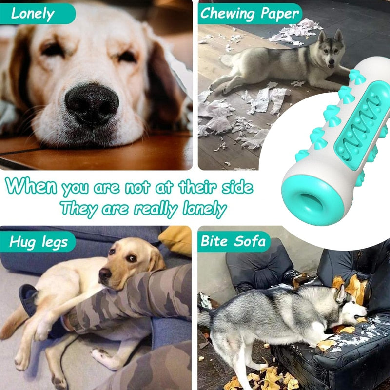 Teeth Cleaning Rubber Dog Toys