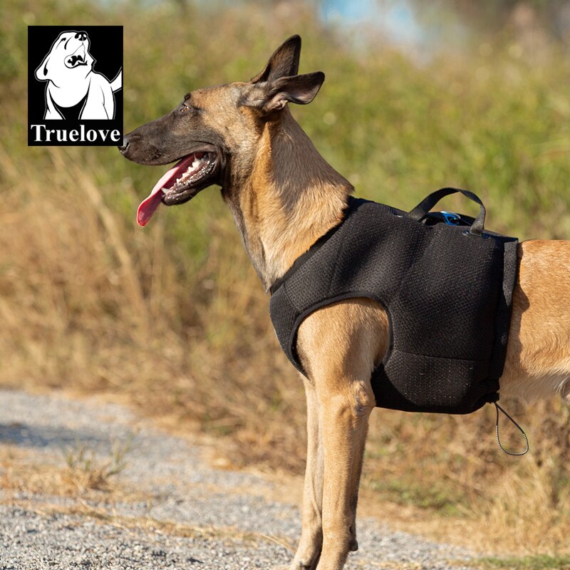 Truelove Vehicle Safety Dog Harness - Adjustable, Breathable Mesh Fabric TLH2512