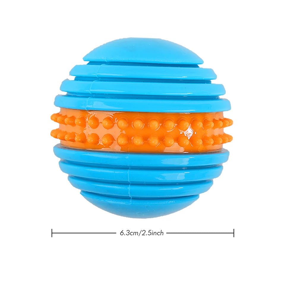 All For Paws Squeeze Fetch Ball Toy for Dog Training