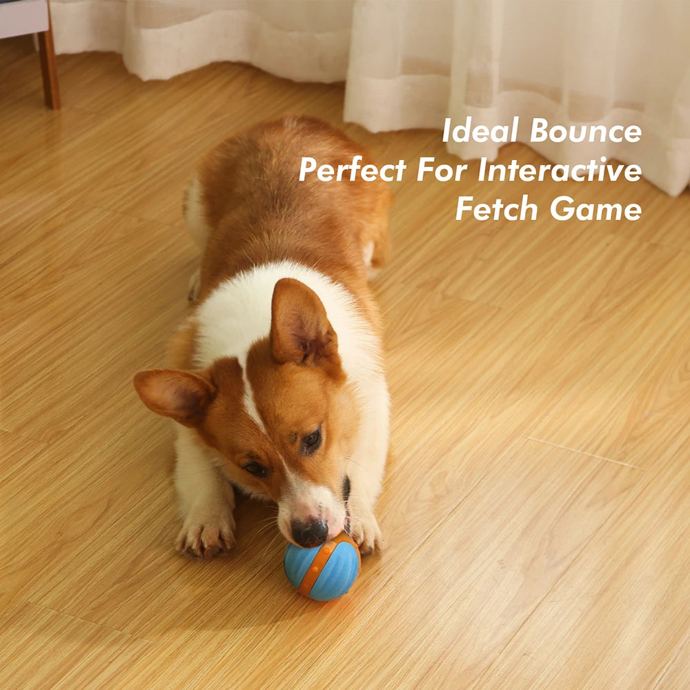 All For Paws X-Bounce Ball Floating Chew toy with squeaker