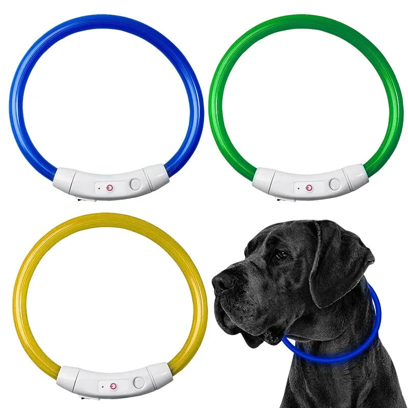 LED Dog Collar USB Rechargeable for Large, Medium & Small Dogs - cut to size