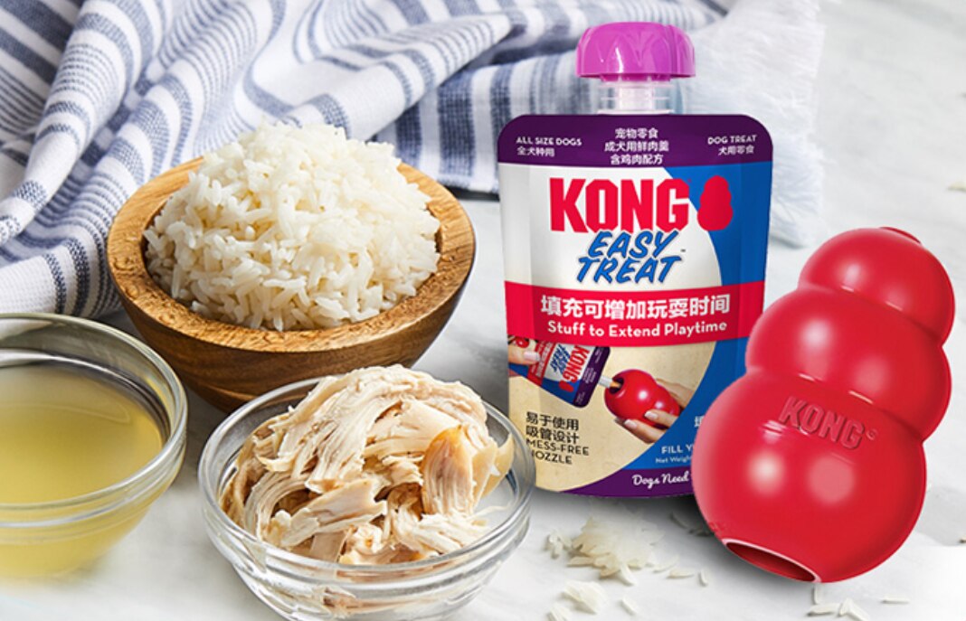 KONG - Easy Treat - Dog Treat Paste