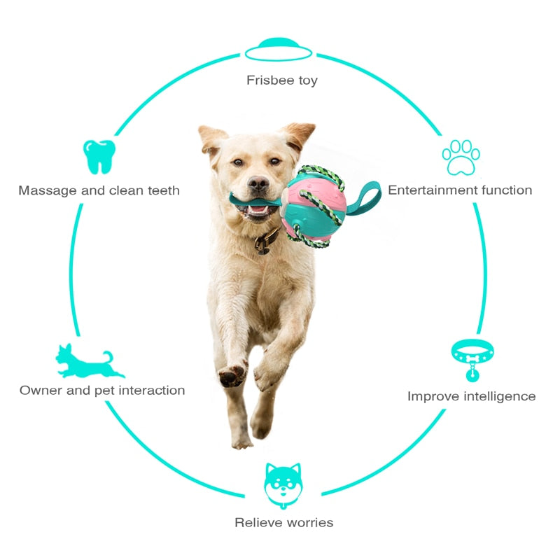 Interactive Dog Football Ball With Tabs & Ropes for Training Outdoors