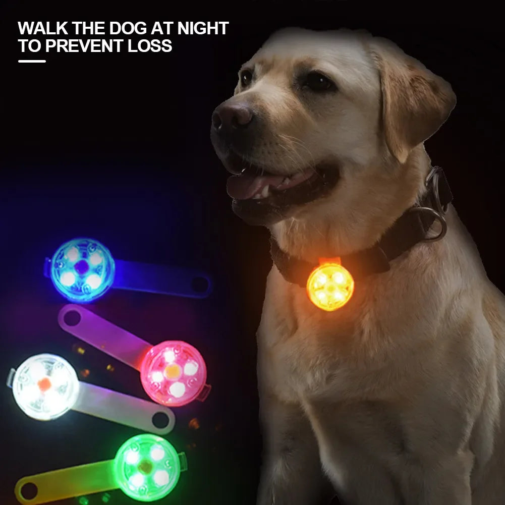 Dog Collar Waterproof Pendant - Flashing LED Light - USB Rechargeable