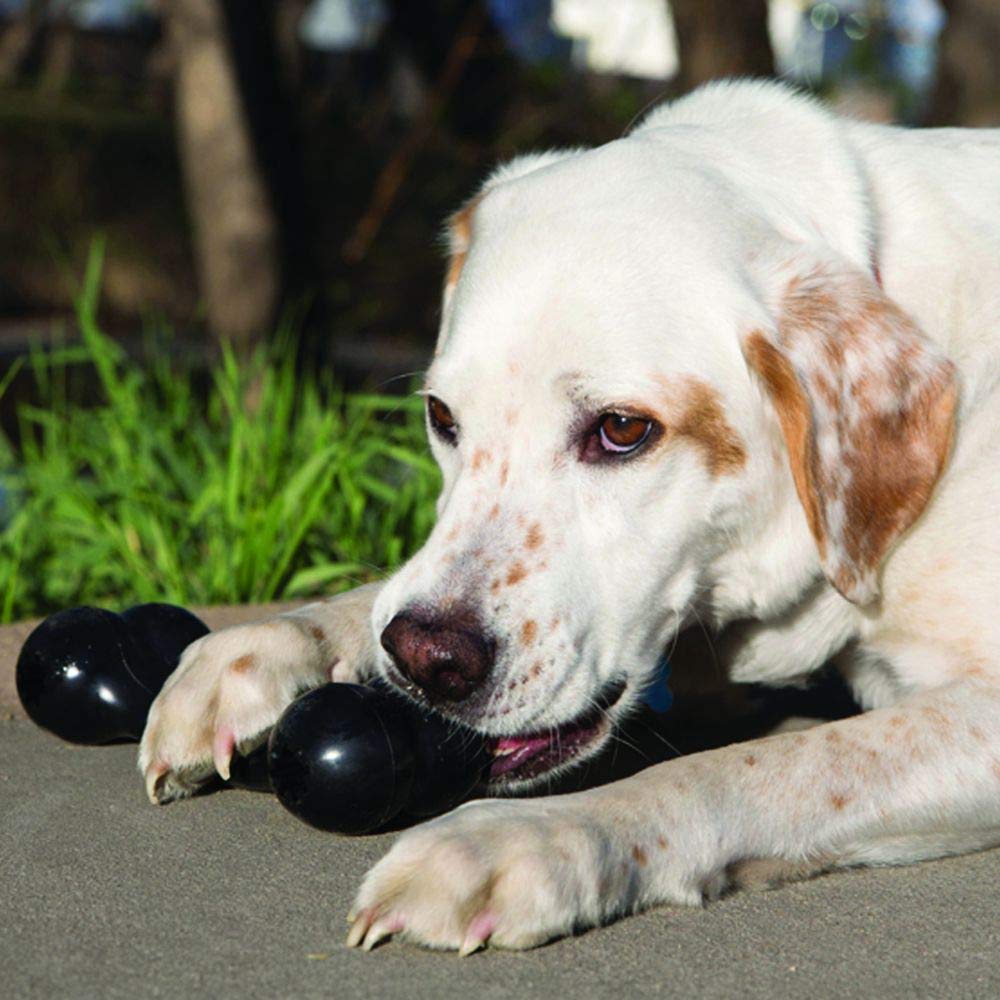 KONG - Extreme Goodie Bone - Durable Rubber Dog Bone for Medium Sized Dogs