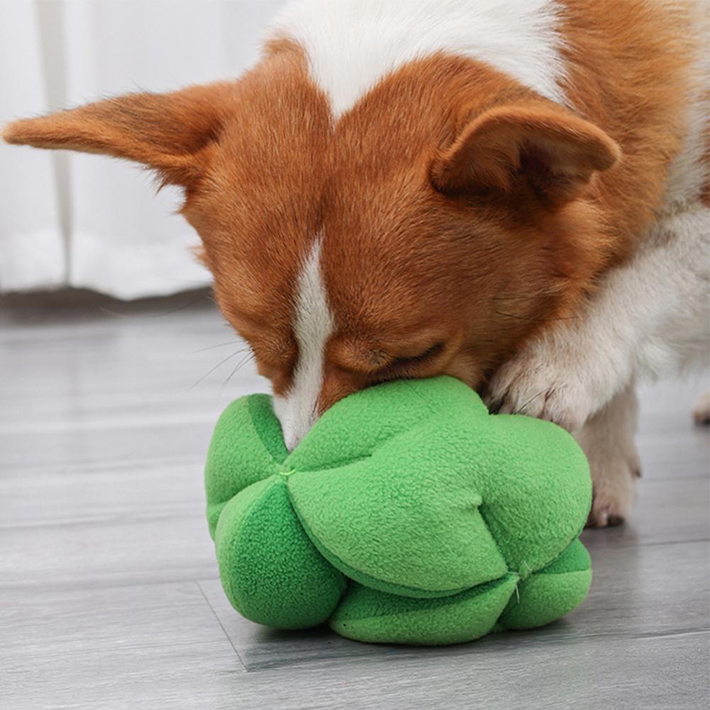 Dog Broccoli Snuffle Ball Foraging Toy