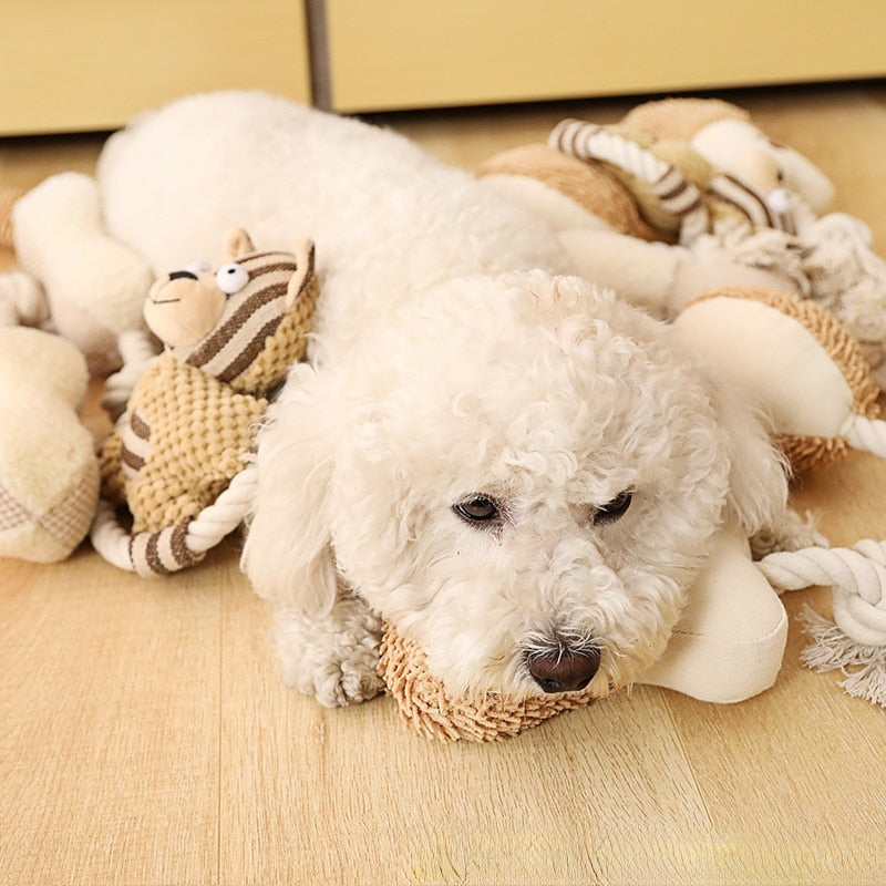 Cute Snuggle Squeaky Rope Dog Toys