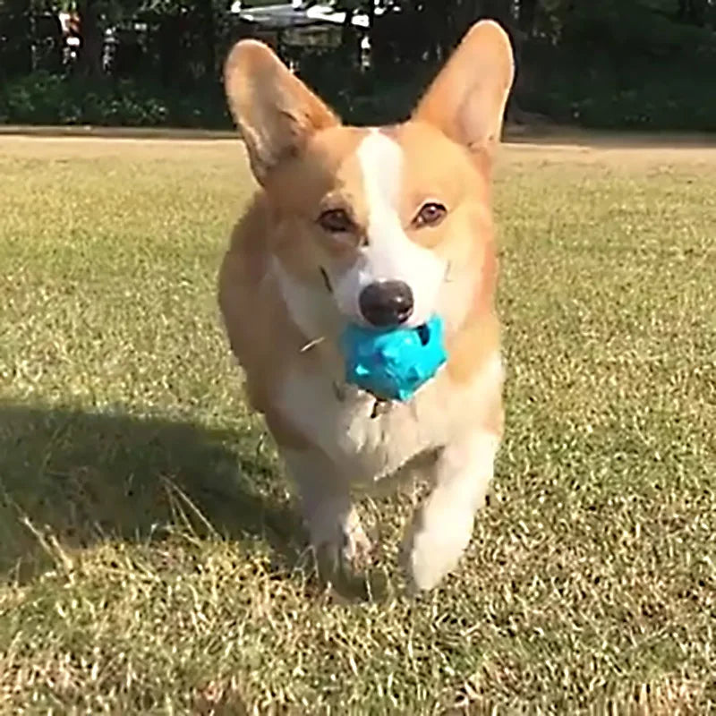 CAITEC Squeaky Rubber Floating Springy Ball - Great for Tossing and Chasing