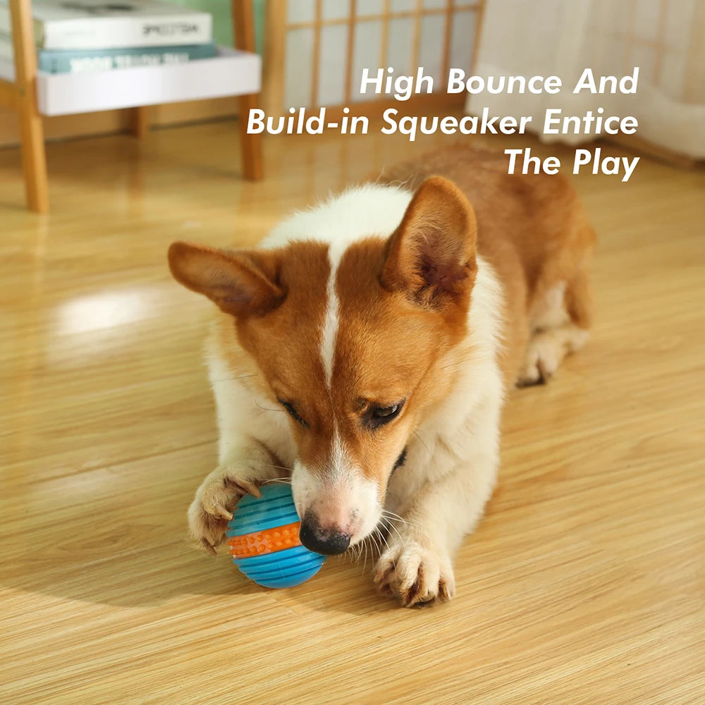 All For Paws Squeeze Fetch Ball Toy for Dog Training