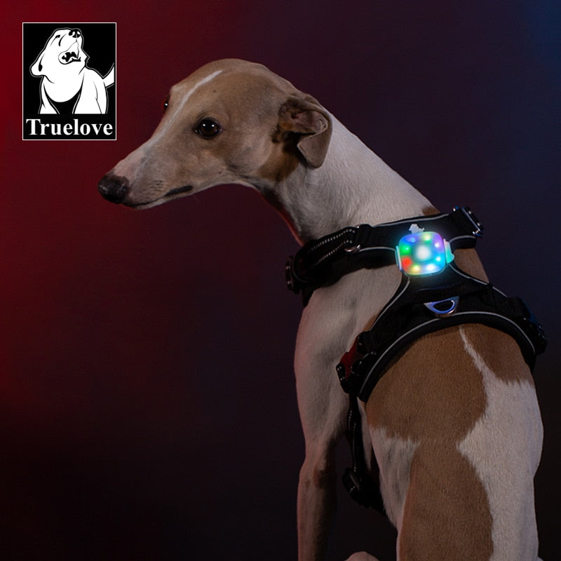 Truelove Safety LED Light for Dog Collar or Harness - Water Resistant, Wireless Charging and Long Continuous Battery Life TLD19102