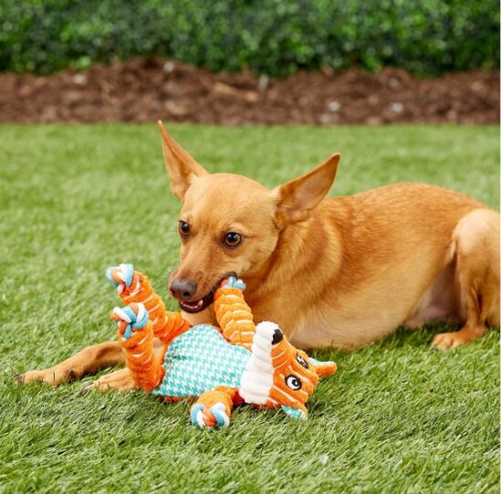 KONG Floppy Knots Dog Toy - Fox - Interactive Squeaky Rope Toy