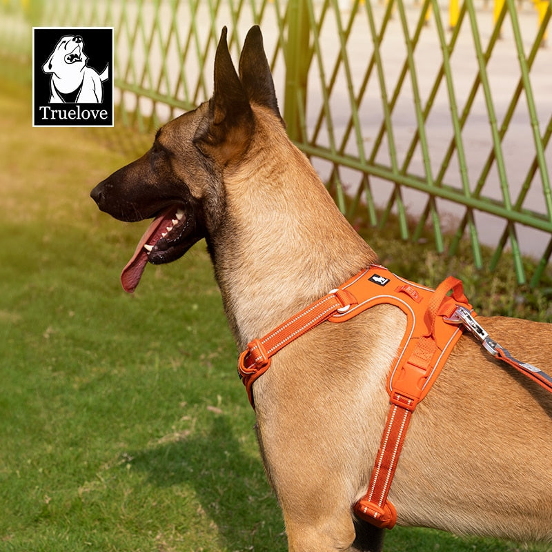 TRUE LOVE No Pull Nylon Reflective Dog Harness (Red) - Adjustable Comfortable Control Step-in TLH5654