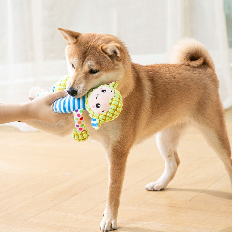 Plush Squeaky Interactive Dog Toy - Various options