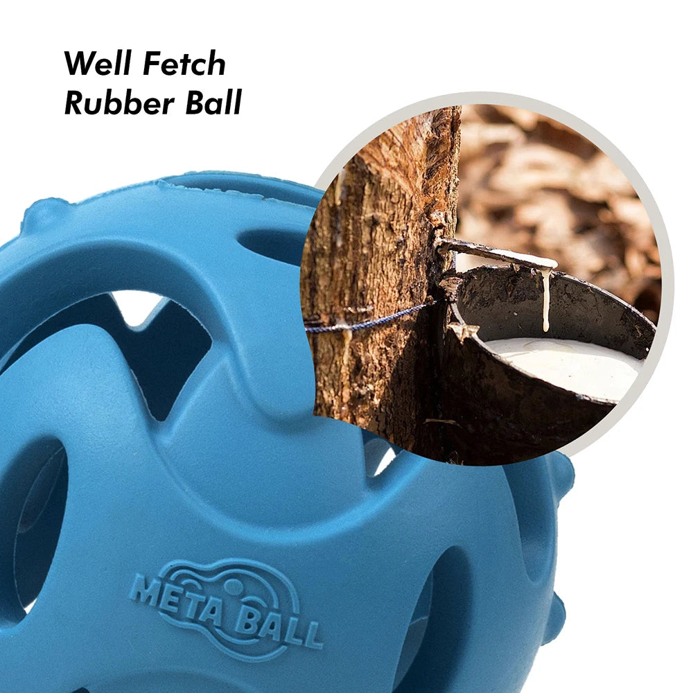 All For Paws Well Fetch Rubber Ball - Non-toxic