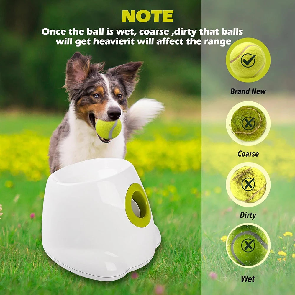 All For Paws Interactive Automatic Electric Ball Launcher with 3 Tennis Balls